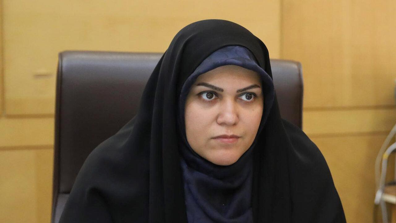 راهکار مهار تورم اجرای قانون برنامه هفتم است
