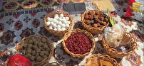 جشنواره غذا‌های خانگی در بوستان ریحانه شهر پردیس