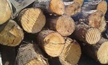 کشف ۱۳ تن چوب قاچاق در شهرستان اسلام آباد غرب