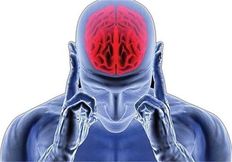 یک دستورالعمل ویژه برای سلامت مغز و تقویت تمرکز