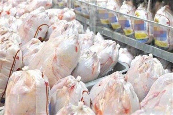 مرغ منجمد تنظیم بازار در گناوه و بندرریگ توزیع می‌شود