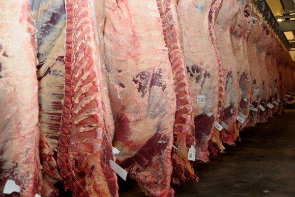 قیمت گوشت شترمرغ اعلام شد
