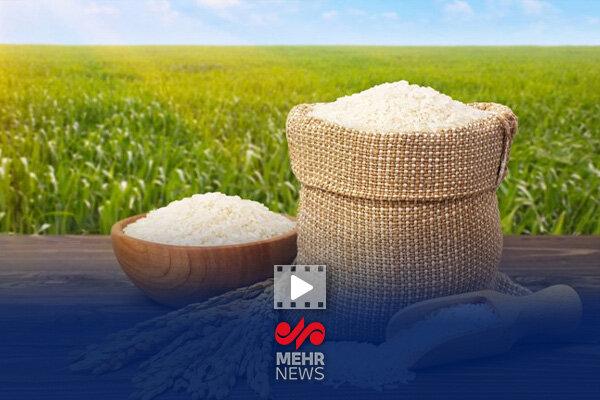 وزیر جهاد کشاورزی: برنج داخلی مشمول قیمت گذاری نیست