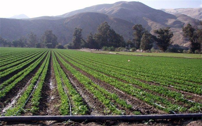 آبیاری هوشمند و استفاده از پساب راهکار نجات فضای سبز تهران