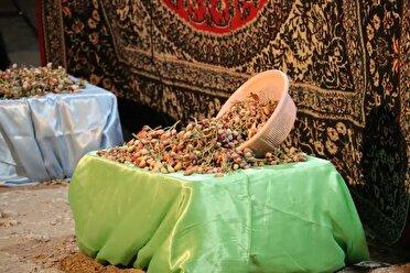 نهمین جشن ملی پسته در رفسنجان