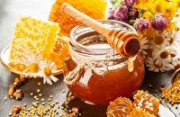 چهارمین جشنواره عسل اشترانکوه در ازنا
