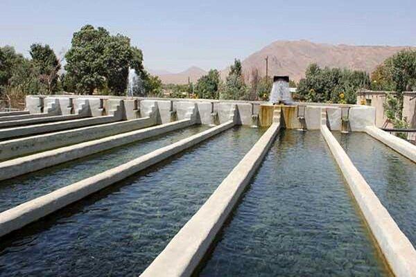 تولید ۱۴۰ تن ماهی در کوهدشت