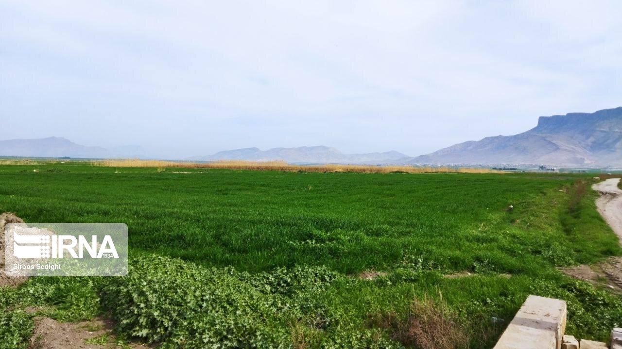 ضرورت تسریع در تکمیل سامانه گرمسیری برای توسعه پایدار کشاورزی و ارتقای معیشت مرزنشینان