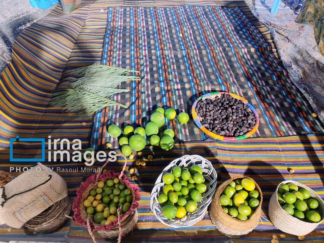 جشنواره ملی لیمو و خرمای رودان؛ رویدادی‌ برای توسعه کشاورزی و معرفی ظرفیت‌های هرمزگان