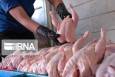 جایگاه ممتاز مازندران در تنظیم بازار گوشت مرغ تهران