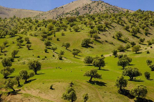 رشد چشمگیر ورود گردشگران به ایلام با زیرساخت‌های جدید