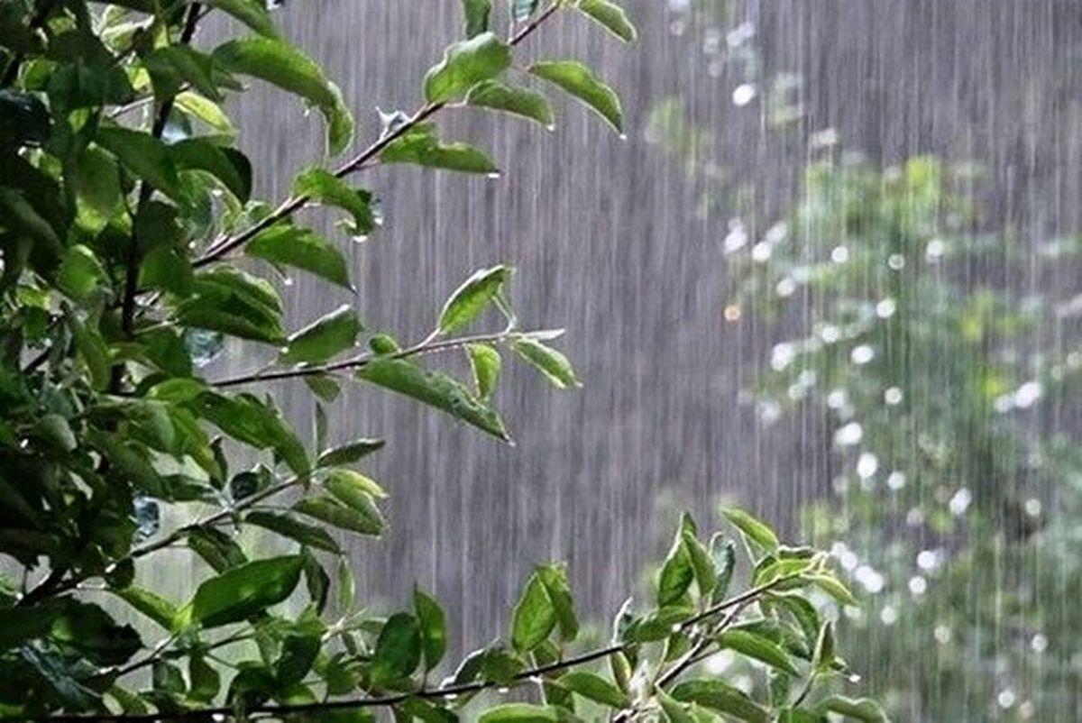 بارش باران و کاهش دما در سواحل شمالی و برخی مناطق کشور