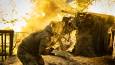 Putin reveals number of troops engaged in Ukraine conflict