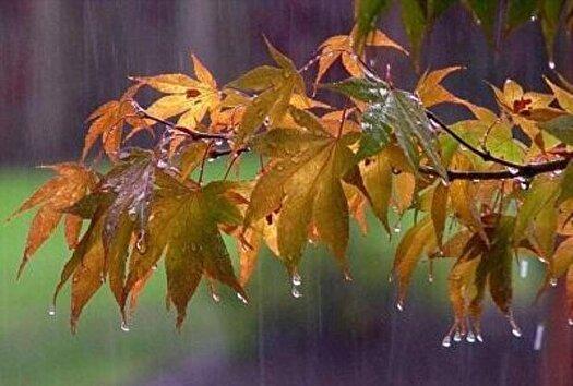 ادامه بارندگی در سواحل دریای خزر و هشدار نارنجی برای این مناطق