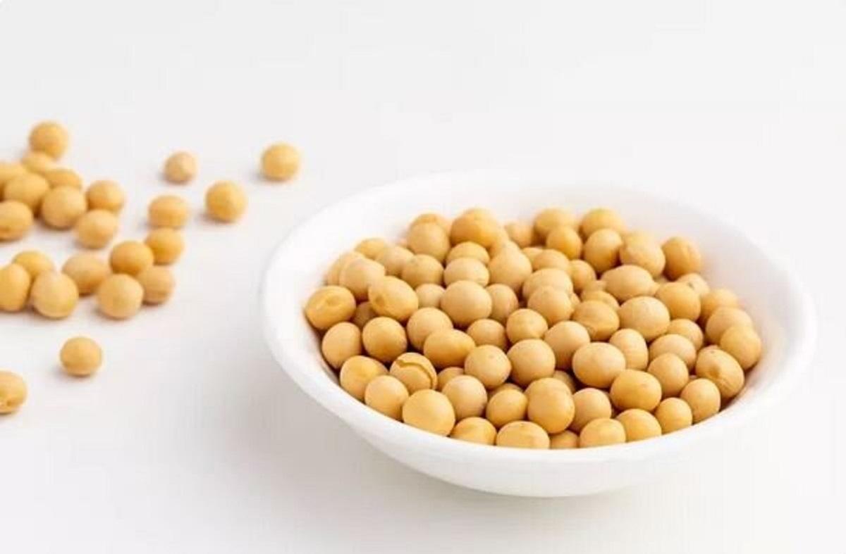 یک پروتئین گیاهی؛ از خواص و فرآورده‌های متنوع تا موارد احتیاط