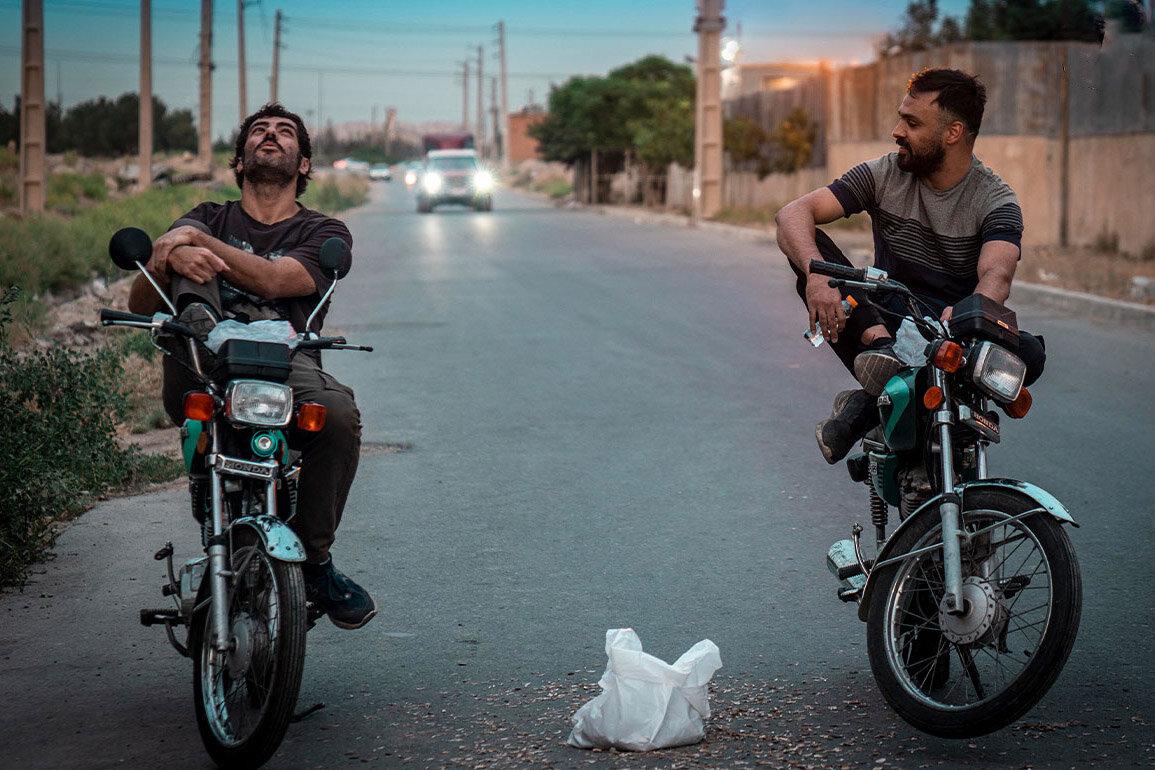 پشت پرده بلاگر شدن در «گوزن‌های اتوبان»؛ ماجرای لایوی که دردسرساز شد!