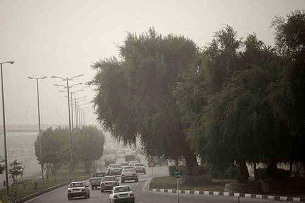 کاهش محسوس دما در ایلام؛ وزش بادهای شدید در راه است