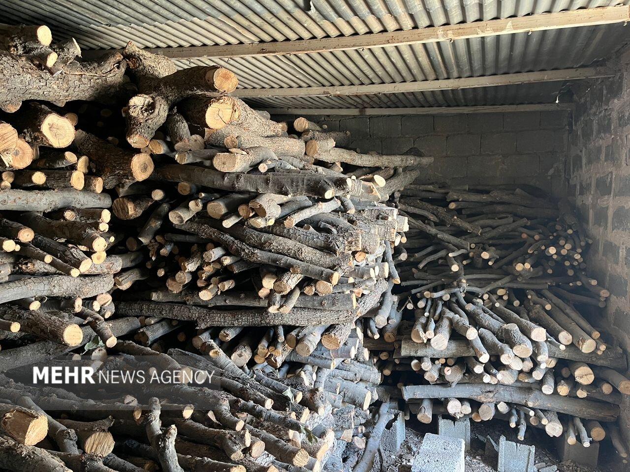 کشف ۱۴ تن چوب جنگلی قاچاق در جویبار