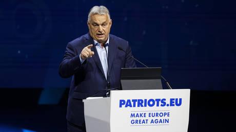 Brussels bureaucrats are running around like panicked chickens – Orban