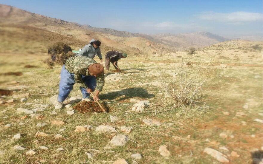 سه تن بذر گیاهان دارویی در کهگیلویه و بویراحمد آماده توزیع شد