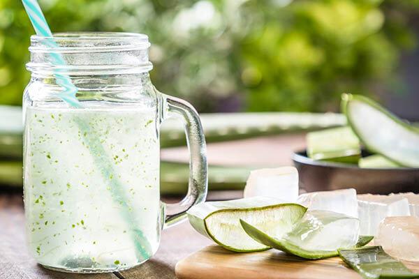 آلوئه‌ورا؛ گیاه جاودانگی با دو چهره