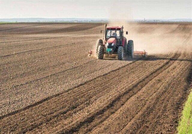 ۱۸ هزار هکتار از مزارع بابل زیرکشت پاییزه می رود
