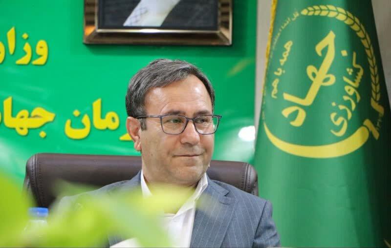 غرامت خسارت به کشاورزان لرستانی از آبان‌ماه پرداخت می‌شود