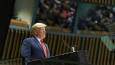 Trump and Zelensky to meet at UN: Live Updates