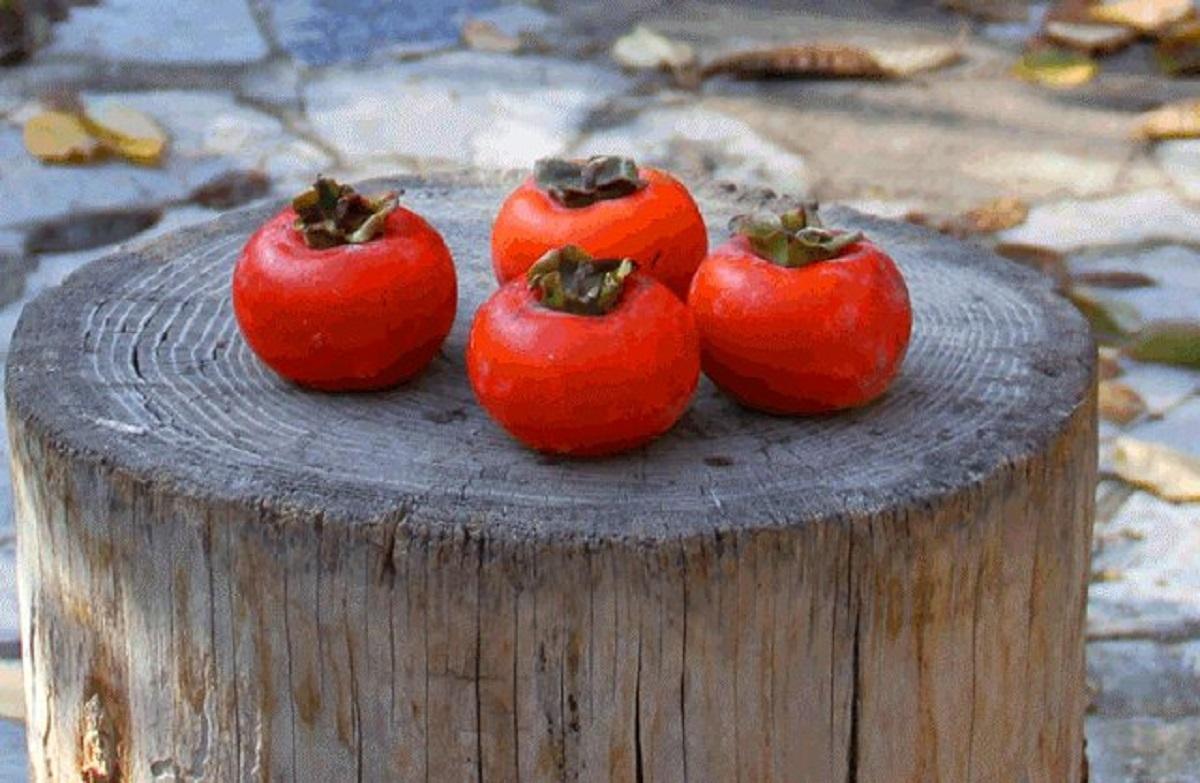 خطر انسداد روده با مصرف این میوه محبوب پاییزی