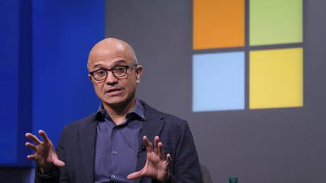 Microsoft CEO reveals AI fears – media