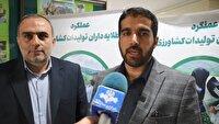 مازندران با ۷۰ هزار هکتار دیمزار، پیشتاز در فاز دوم جهش تولید
