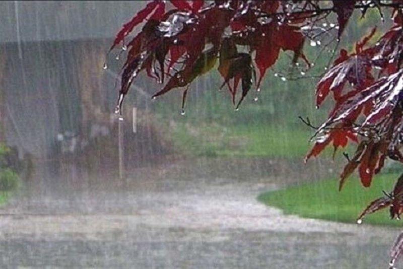سال آبی استان مرکزی با ۳۸ درصد کاهش بارندگی به پایان رسید