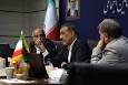 قائم‌پناه: بخشی از فعالیت‌های شستا می‌تواند به سواحل جنوبی منتقل شود/انتصابات باید از فشار سیاسی مصون باشد