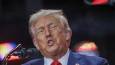 Trump trying to get under Putin’s skin – former US diplomat