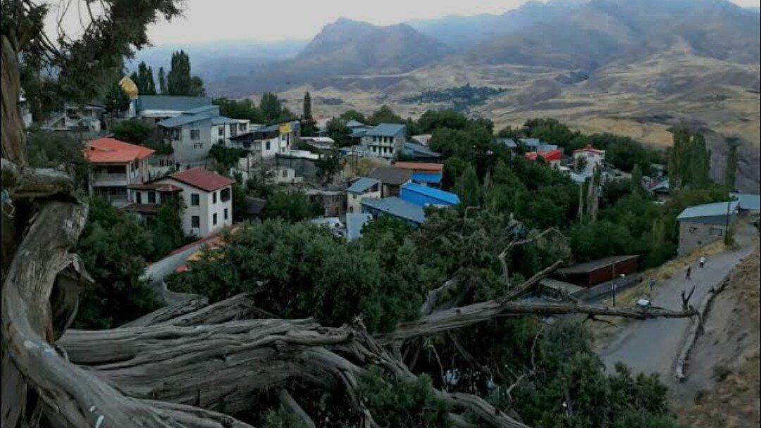 موجود زنده و اسرارآمیز ۸۰۰ ساله در روستای تکیه‌ناوه البرز + ویدئو