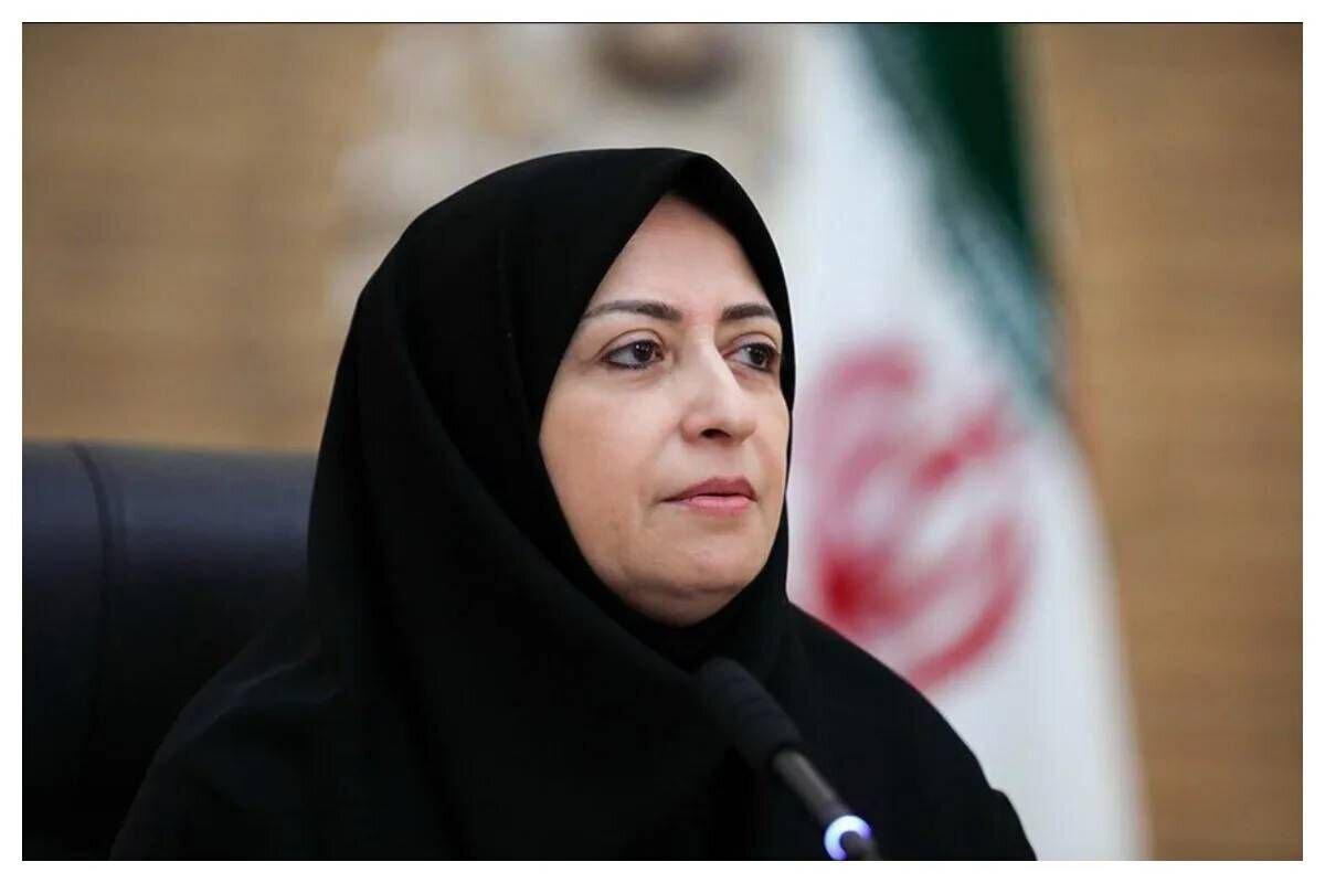 انصاری: حل مشکلات زیست‌محیطی بدون حضور زنان و بخش خصوصی ممکن نیست
