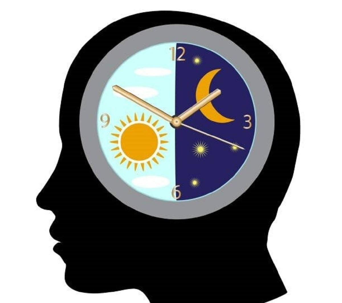 بیوریتم چیست و چه سیکل‌هایی دارد؟