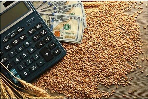 زنگ هشدار برای امنیت غذایی به صدا درآمد / وزارت جهاد چه پاسخی دارد؟