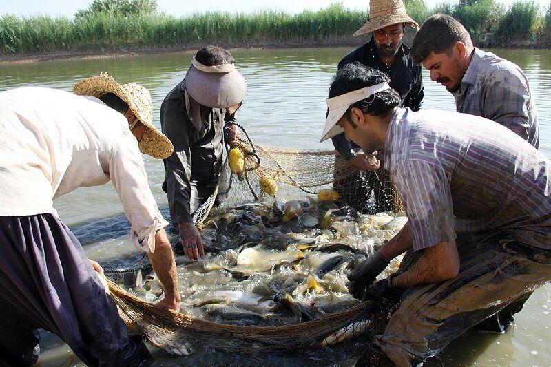 قصرشیرین؛ قطب صادرات آبزیان و مقصد گردشگری آبی در مرز ایران و عراق