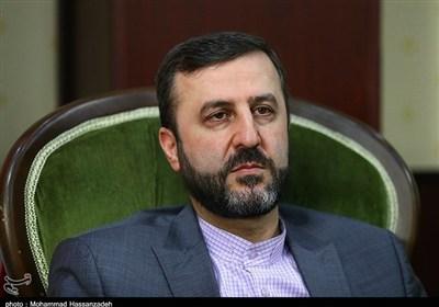 غریب‌آبادی: معاون گروسی پس از مذاکره، تهران را ترک کرد