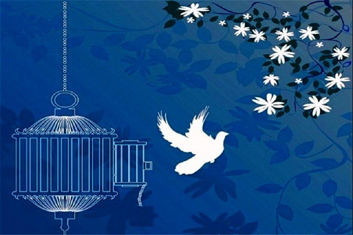۱۵۲ میلیارد تومان برای آزادی زندانیان جرائم غیر عمد در ایلام پرداخت شد