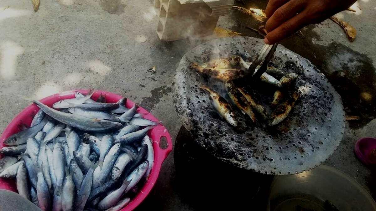 برگزاری جشنواره «گاریز» در بندرعباس