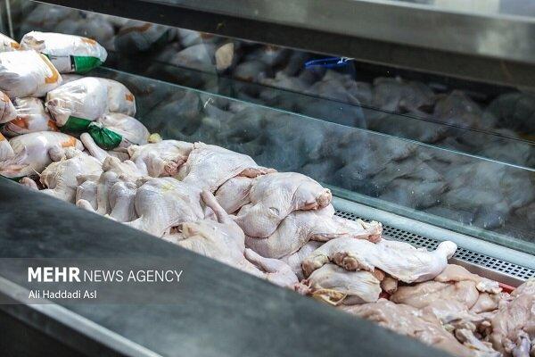 رد پای مرغ‌های غیر بومی در گرانی بازار همدان؛ کیفیت برابر قیمت نابرابر