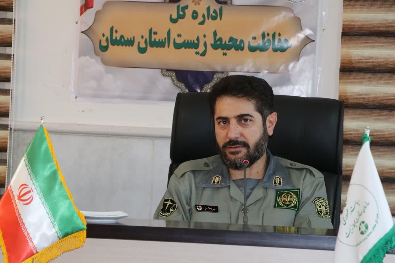 جشن احیای گور ایرانی؛ گورخر ایرانی در گرمسار به جمعیت پایدار رسید