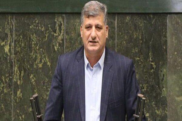 انتظار نماینده مجلس از همتایان اروپایی‌اش/ با وحدت کلمه به دنبال حقوق خود هستیم