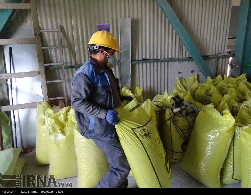 بخش قابل توجهی از نیازهای خوراک دام در داخل کشور قابل تامین است