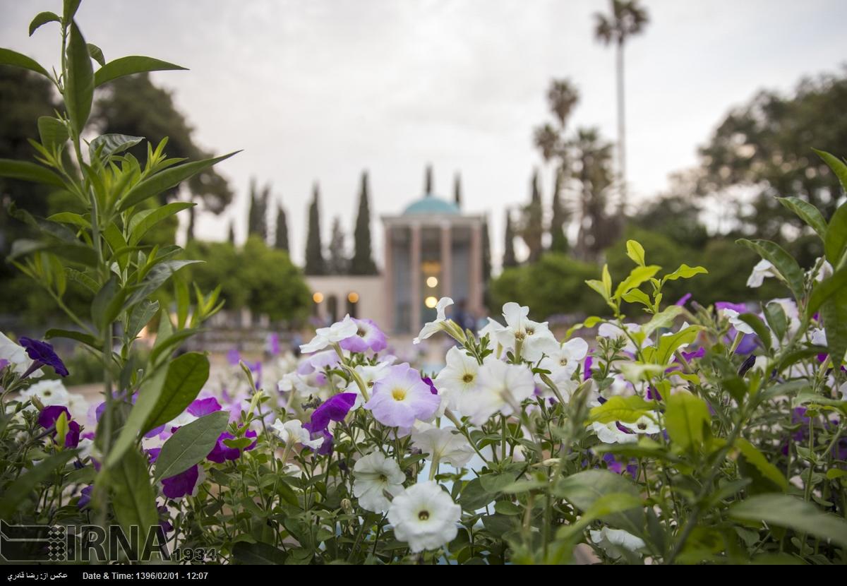 پنجمین پویش ملی گلستان خوانی فارس آغاز شد