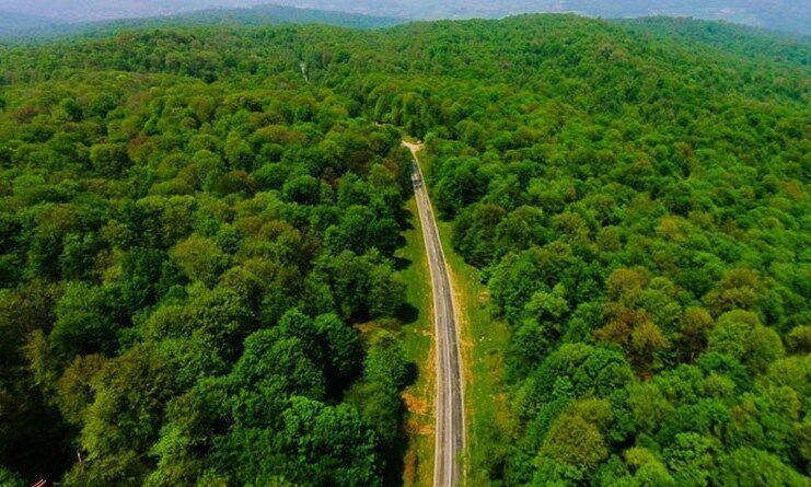 تداوم برنامه راستی‌آزمایی طرح جنگلداری نوین در هیرکانی
