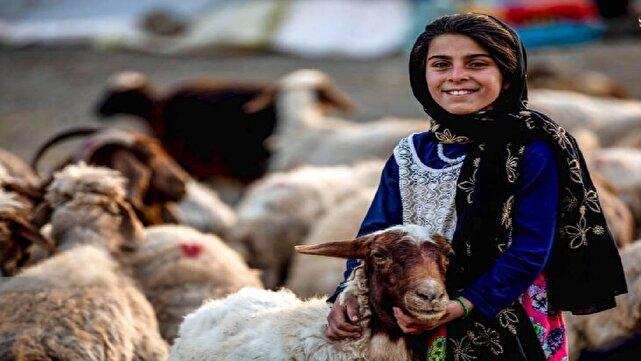 زندگی‌ای به وسعت زاگرس؛ عشایر بروجرد و سنت‌های ماندگارشان