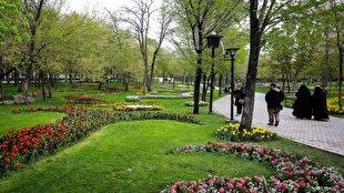 توسعه ۶۵ هزار هکتاری فضای سبز تهران/ استفاده از پساب به ۵۶ میلیون متر مکعب می‌رسد+ فیلم
